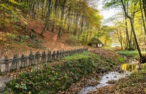 Turistička organizacija grada Loznica Spomenički kopmleks u Tršiću rodnom mestu Vuka Stefanovića Karadžića Turistička organizacija grada Loznica Spomenički kopmleks u Tršiću rodnom mestu Vuka Stefanovića Karadžića